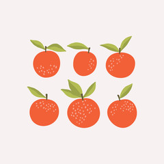 Apples fruit illustration set, flat vector design