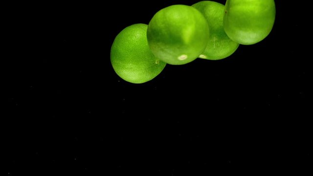 lime drop in water slower motion