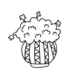House plant with a fluffy crown in a pot decorated with ornaments. Doodle style. Hand drawn vector illustration in black ink on white background.