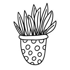 Houseplant in a pot decorated with polka dots. Doodle style. Hand drawn vector illustration in black ink isolated on white background.