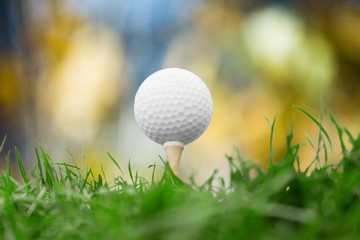 A action active calm compete country course