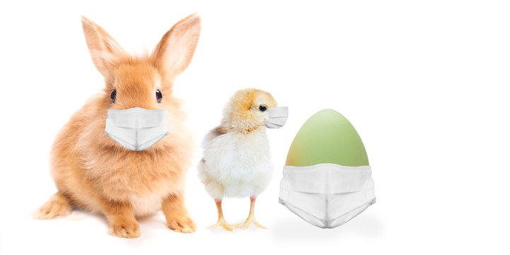 Easter Bunny, egg and chicken wearing face masks . Easter greeting card. Coronavirus alert for 2020.