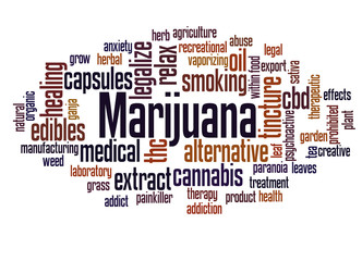 Marijuana word cloud concept