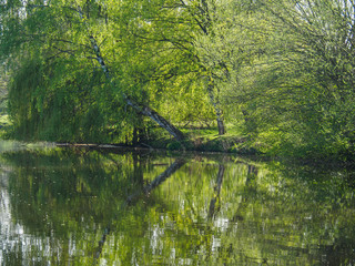 Frühling am See im Westmünsterland