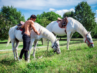 Handsome muscular man without shirt riding horse in natural bright sunlight.