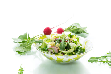 Spring salad from early vegetables, lettuce leaves, radishes and herbs in a plate isolated on white