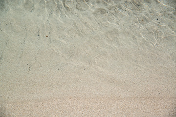 南国の砂浜のイメージ