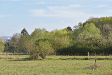 autumn landscape in the mountains