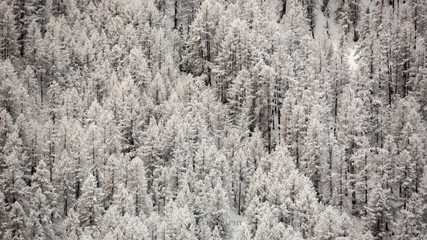 Moment de sérénité