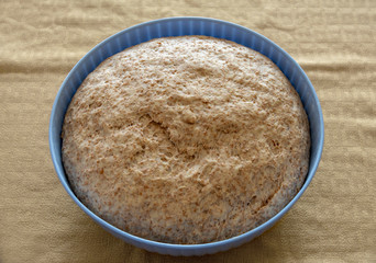 Food dough in natural leavening