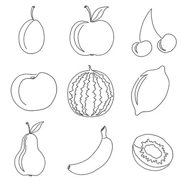 One line continuous hand drawn illustration with fruits on white background. One line drawing concept for logo.