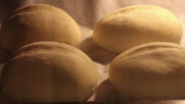 Pane cotto nel forno di casa