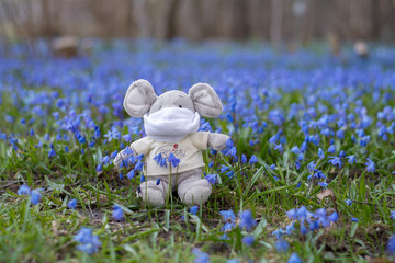 Soft toy mouse sits in a field of blue flowers in a medical mask. A little mouse sits in a spring...