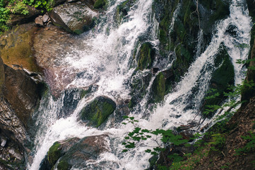 Fast mountain forest river in the Carpathian mountains of Ukraine's natural reserve. Waterfall in the mountains.