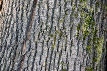 Obraz premium Hintergrundbild