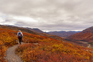 Hiking in the magnificent mountains of Tombstone Territorial Park in Northern Canada, Yukon...