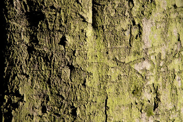 Hintergrundbild