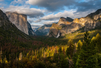 Early Evening Yosemite NP