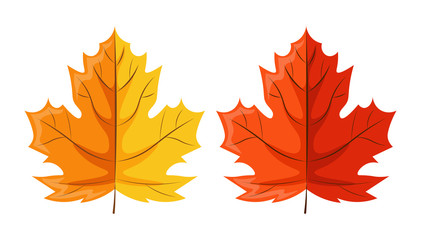 Hello autumn, autumn leaves flat, colored leaves isolated set, vector illustration