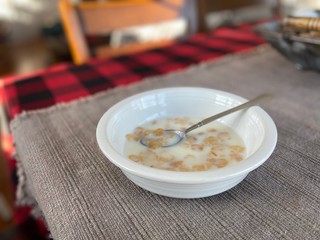 A bowl of breakfast cereal with milk