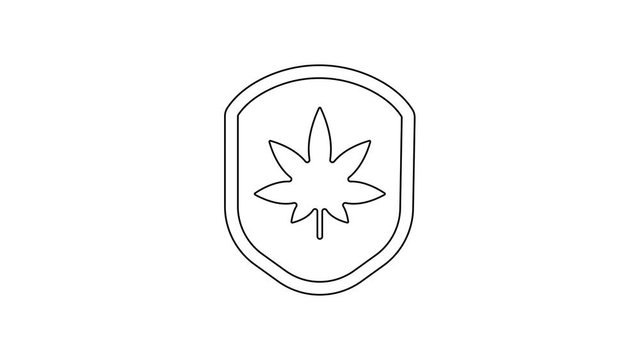Black line Shield and marijuana or cannabis leaf icon isolated on white background. Marijuana legalization. Hemp symbol. 4K Video motion graphic animation