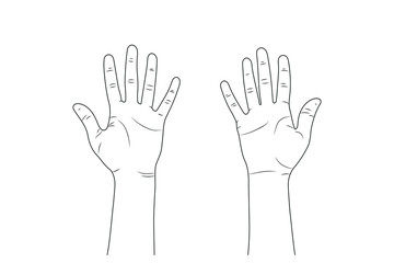 female hands. eps10 Vector sketch illustration - women's hands.