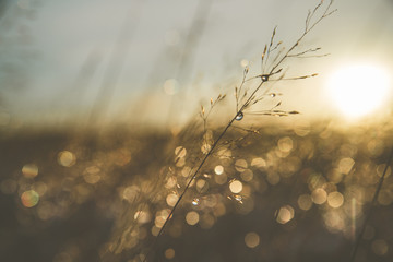 Sunset In Winter Time © AristilisPhotography