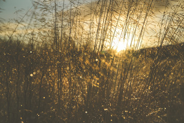 Zimowy Zach&oacute;d Słońca