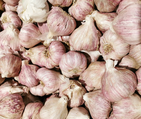 close up on fresh garlic