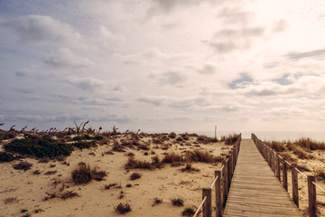 Praia Naturista, Algarve, Portugal