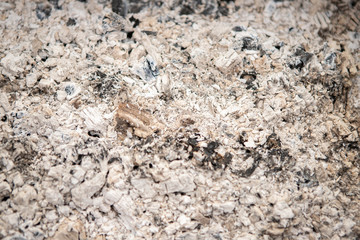 Grey ashes in macro