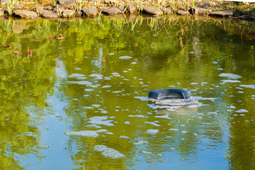 Skimmer Messner swims on surface of water in a pond. Close-up. Spring pond. Skimmer collects leaves, dirt, and other foreign objects from surface of water. There is place for text.