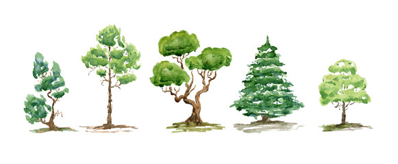 Watercolor summer trees, bush. Set of hand drawn green plants. Landscape. Nature