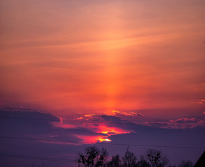 Sunset on the background of trees