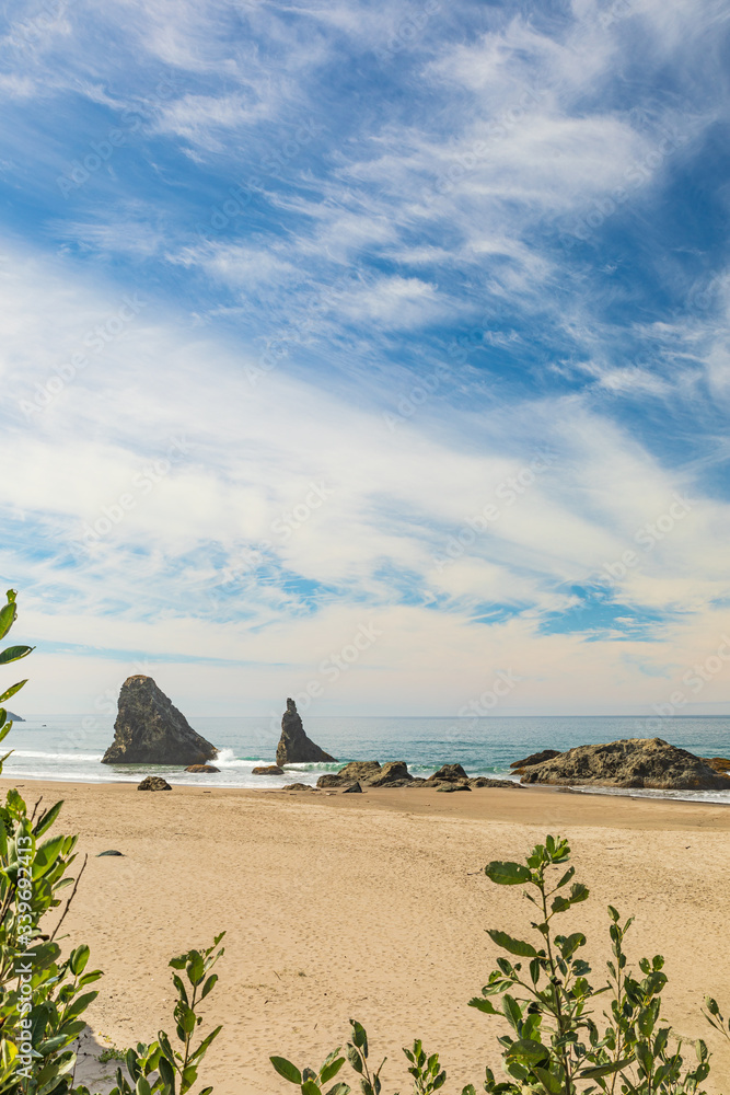 Wall mural vertical image - greenery frames view of sea stacks on bandon beach