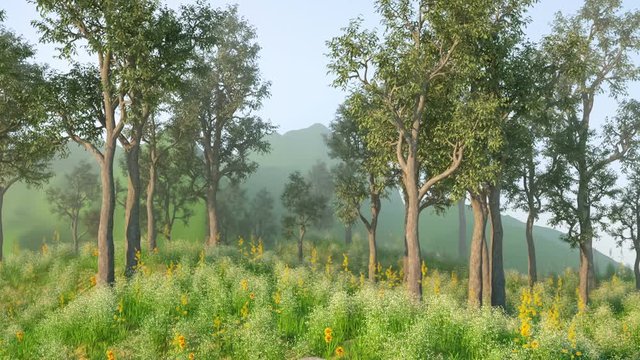 Photorealistic motion background: walking towards a green forest in a summer morning. Beautiful trees, green grass, flowers and a blurry mountain in background. Gentle wind blowing. 3D rendering