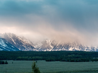 Snow clouds descend on the Teton mountains as elk graze on the prarie
