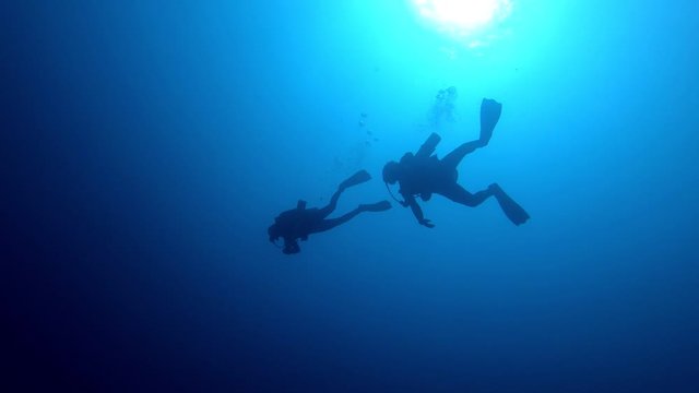 Couple scuba diving, silhouetted against sun