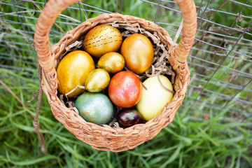 A basket of Easter eggs hangs on the fence against the background of green grass.