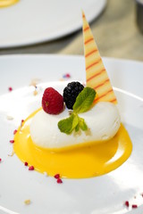 chess check with vanilla sauce. cheesecake with vanilla yogurt. piece of tasty vanilla cheesecake with berries