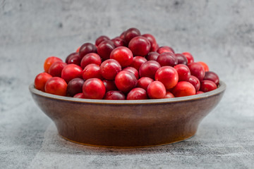 Bowl of Freshly Harvested Mirabelle Plums