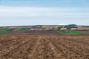 Agricultural Fields in Early Spring