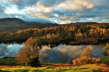 Sunset at Tarn Hows in Lake District
