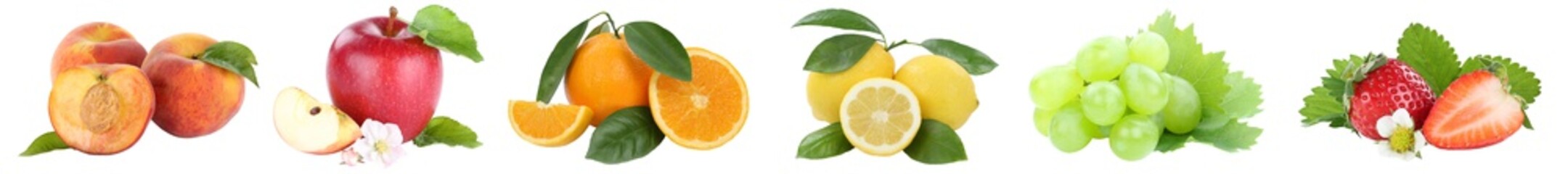 Food collection fruits apple orange grapes apples peach oranges fresh fruit in a row isolated