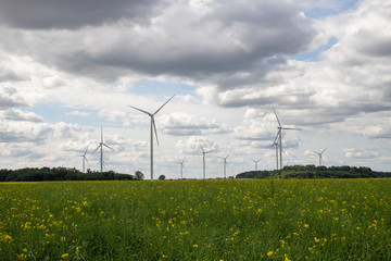 wind turbine in the field