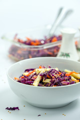 Vegetarian salad with red cabbage, carrot and apple.