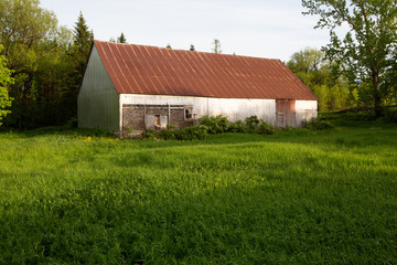 Fototapeta na wymiar Barn in a green field
