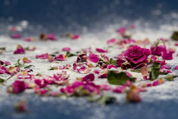 pink roses on a blue background sprinkled with white powder