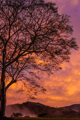 landscape, sunset, shadow, nature
