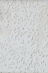 Grains of White Rice 